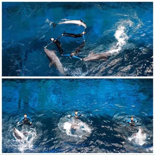 送电影票啦！《海底小纵队·火焰之环》大电影免费看