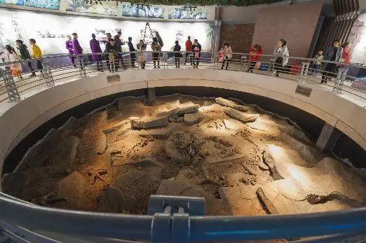 盘点文旅行业IP发展模式现状