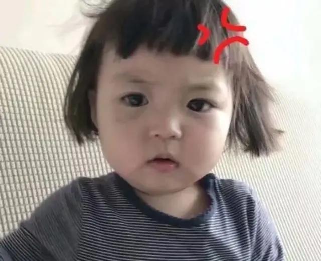 考拉大冒险，拯救夏日烦闷，尽情玩耍、释放活力、挥洒汗水！