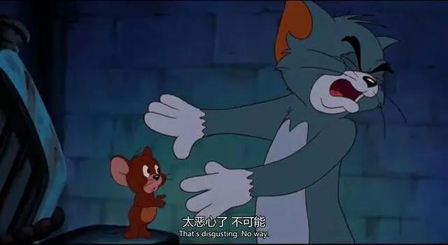 猫和老鼠：模范cp永不倒