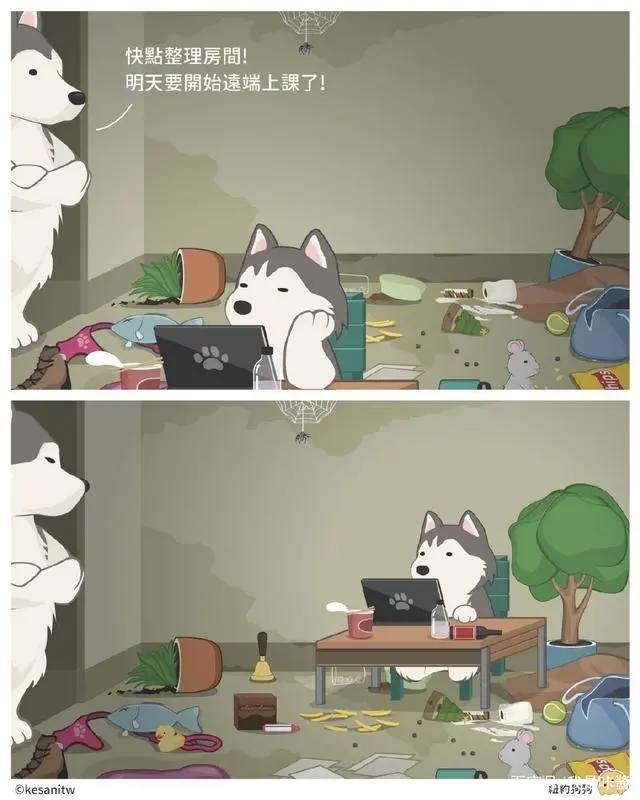 森林系漫画：请女朋友吃汉堡不浪漫吗？小黄犬的冷笑话日常