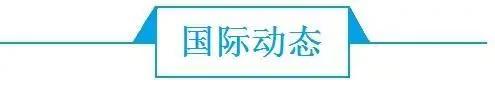 前瞻电影产业全球周报第5期：第28届中国金鸡百花电影节海报？官方：尚未定稿