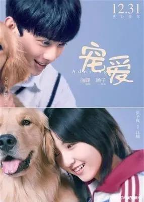 11月份要上映的这些电影，有你喜欢的吗？