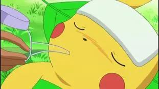 精灵宝可梦：队内问题儿童加一，不敢在水里睁眼的水系宝可梦