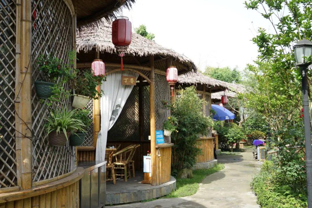 春天的味道｜绝美！免门票！粉樱如海，四季东城农庄2022赏樱季开启！