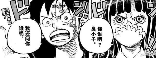 「不死鸟的思考」海贼王982话分析-无礼之徒“见”无礼之徒