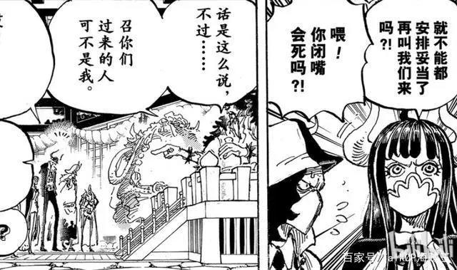 「不死鸟的思考」海贼王982话分析-无礼之徒“见”无礼之徒