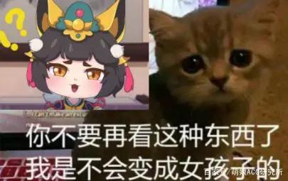 神仙打架杀出黑马！这就是秋季国创动漫最强猫娘么？