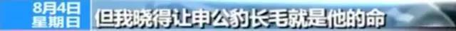 《哪吒》爆红，全靠他爹！