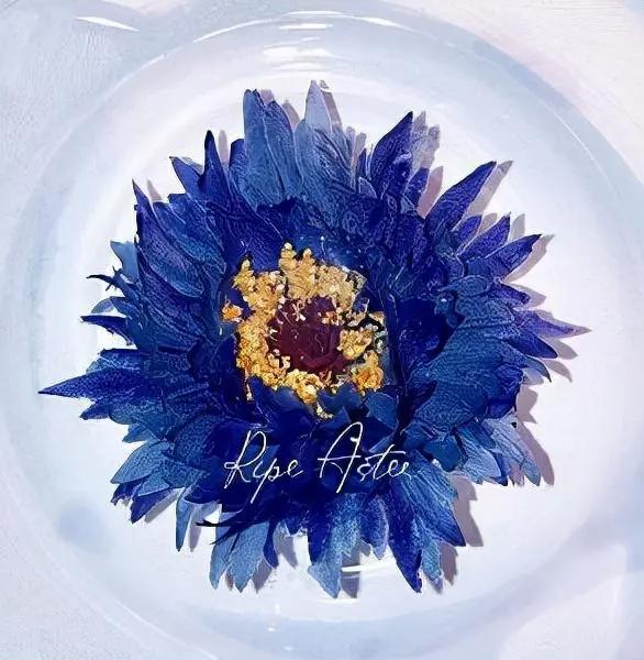 「魔法科高校的劣等生：追忆篇」年底跨年播出主题曲公开