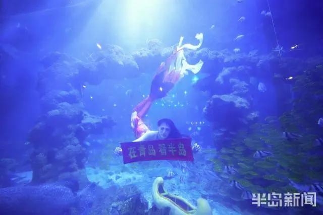 半岛聚焦丨今天我是你：女记者变身美人鱼，“变美”并不容易