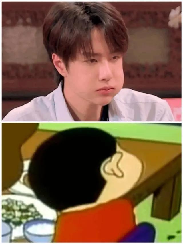 明星撞脸动漫人物！王一博撞脸蜡笔小新，刘涛神似围裙妈妈