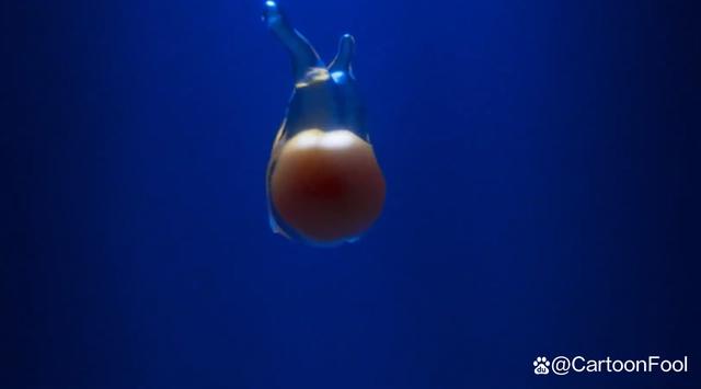 《蛋黄哥大冒险》真人剧集首曝预告，寻母之旅开启，萌到你了吗？