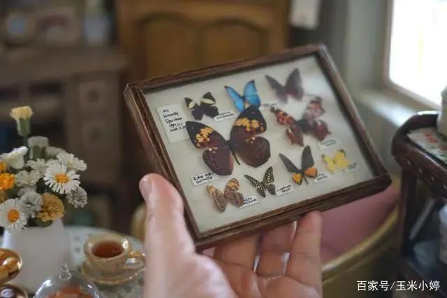 她徒手造出宫崎骏动画中的房子，太过精致被网友迅速圈粉