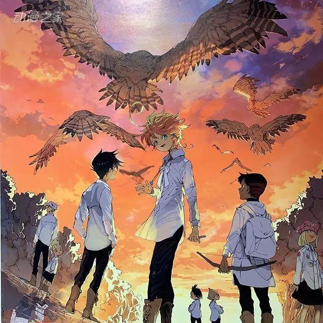 剧透预警《约定的梦幻岛》漫画完结，最终卷10月发售