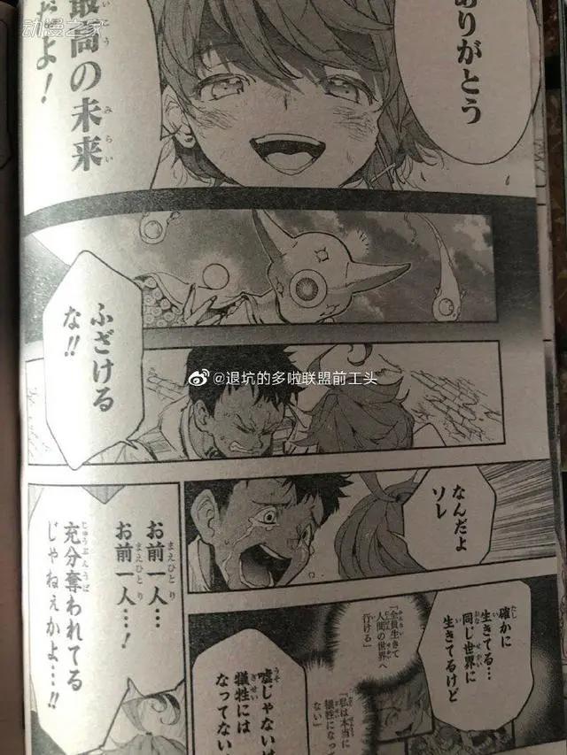 剧透预警《约定的梦幻岛》漫画完结，最终卷10月发售