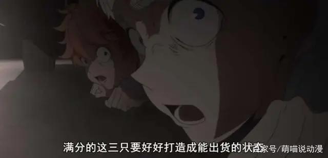 在这部动漫里我猜你活不过6岁深入解析《约定的梦幻岛》第一集续