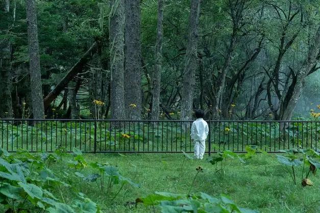 滨边美波女神领衔主演！《约定的梦幻岛》真人电影定档20年12月18日