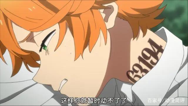 看过漫画又如何？你可能真的没看懂《约定的梦幻岛》！