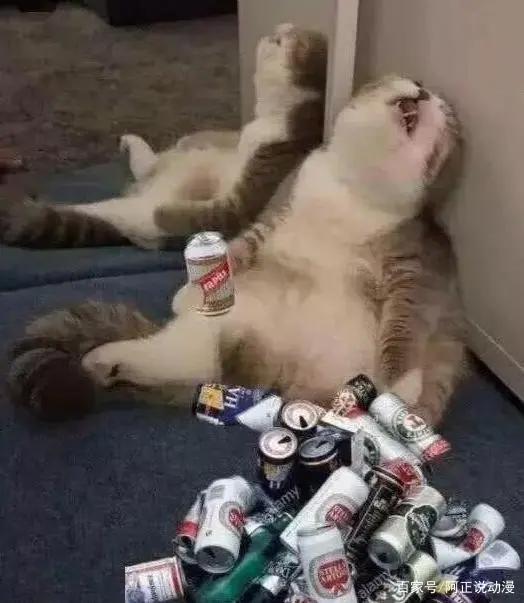 《约定的梦幻岛》惨遭魔改？你还知道哪些被魔改的动画？