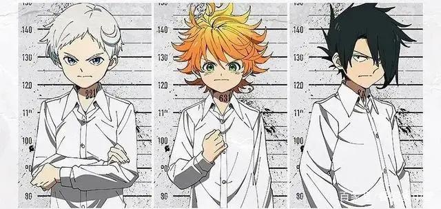 番剧推荐丨约定的梦幻岛这部完结的佳作值得更多人看到