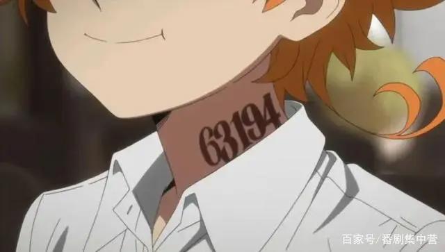 番剧推荐丨约定的梦幻岛这部完结的佳作值得更多人看到