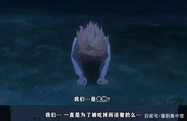 番剧推荐丨约定的梦幻岛这部完结的佳作值得更多人看到