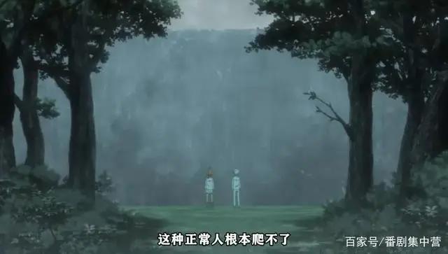 番剧推荐丨约定的梦幻岛这部完结的佳作值得更多人看到