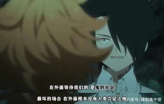 番剧推荐丨约定的梦幻岛这部完结的佳作值得更多人看到