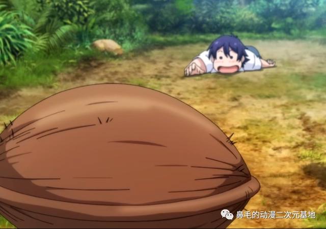 新番《进化之实》爆笑开播：你跟幸福生活只差了一颗果实