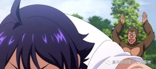 新番《进化之实》爆笑开播：你跟幸福生活只差了一颗果实