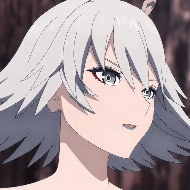 《宿命回响命运节拍》女武神，瓦尔基里，动漫头像自剪分享