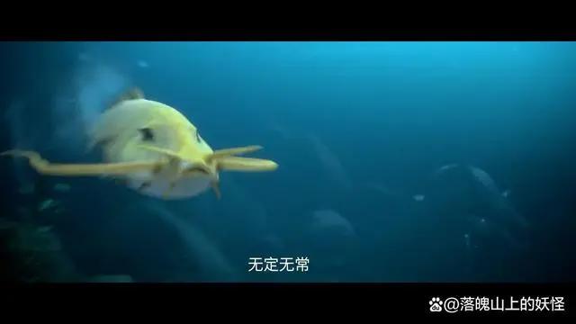 继《雪中》后，《剑来》也出动漫，这波是该夸还是得键来？