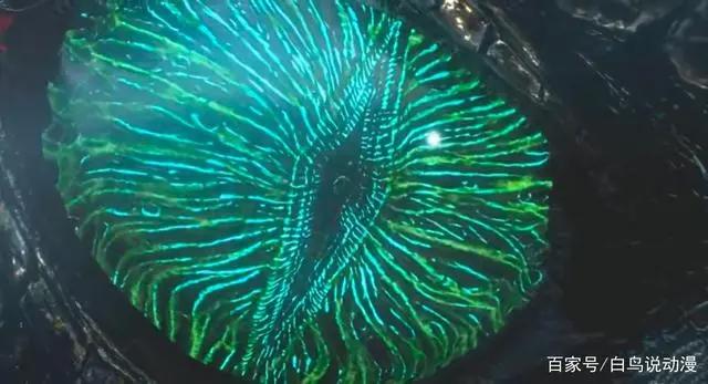 吞噬星空第二季震撼来袭，打败九头蛇龙的竟然是他？