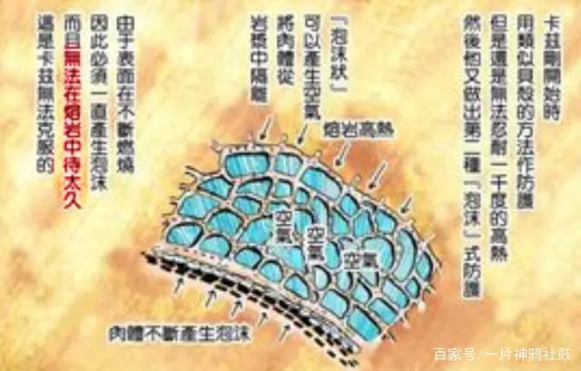 JOJO：谣言粉碎机，反驳一些常见谣言