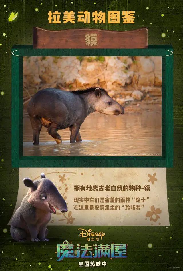 《魔法满屋》高分好评热映中！和家人一起走进影院，让魔法和快乐常伴身边