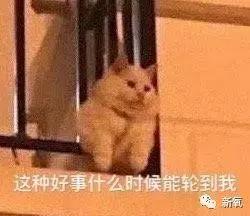 奈飞出品，必属精品