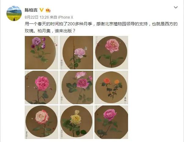 少年锦衣卫：西府海棠，开枝散叶，锦衣归来，仍是少年