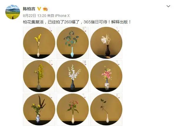 少年锦衣卫：西府海棠，开枝散叶，锦衣归来，仍是少年