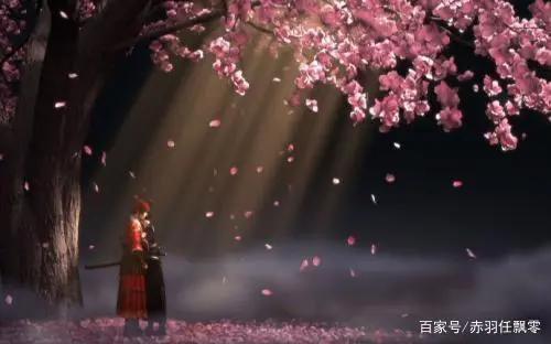 少年锦衣卫还会有吗？网友：我们一起同行！