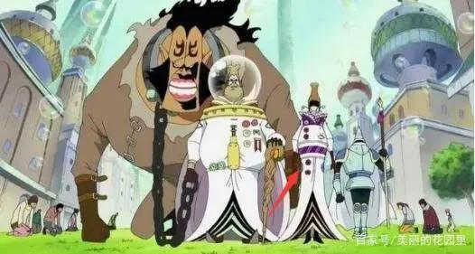 海贼王：动漫中这几位美女无人敢娶，娶到一名基本上已经没命