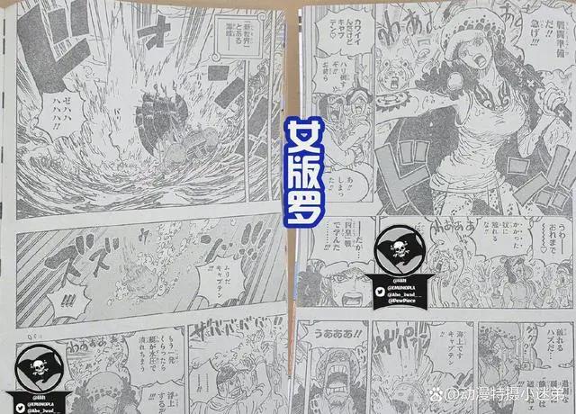 海贼王漫画第1063话，女性版本罗登场，有点像是罗宾？是个美女