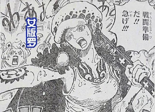 海贼王漫画第1063话，女性版本罗登场，有点像是罗宾？是个美女