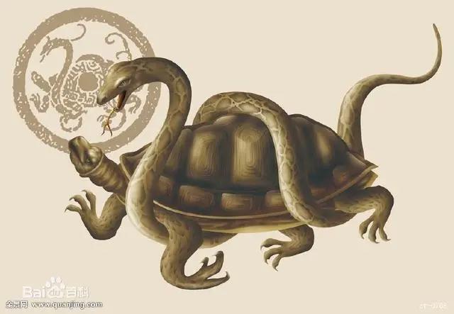 动漫中出现过的这几个神兽，最后那个最可爱