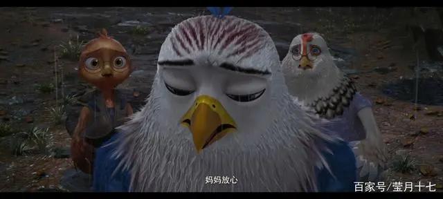 《老鹰抓小鸡》：一只被鸡养大的鹰