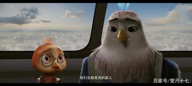 《老鹰抓小鸡》：一只被鸡养大的鹰
