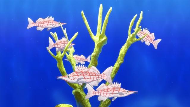 7月新番轻百合动画《白沙的水族馆》，网友：我对PA社又有信心了