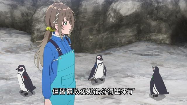 7月新番轻百合动画《白沙的水族馆》，网友：我对PA社又有信心了