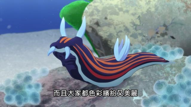 7月新番轻百合动画《白沙的水族馆》，网友：我对PA社又有信心了