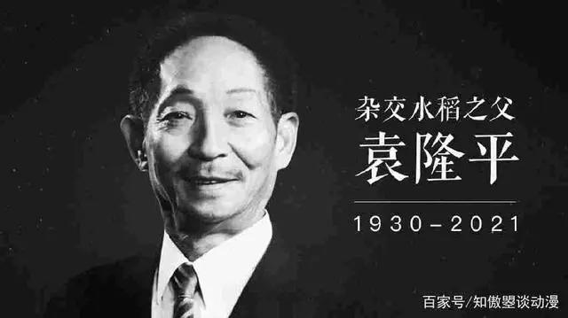 高分美漫动画《无敌少侠》：人类不需要真相和英雄